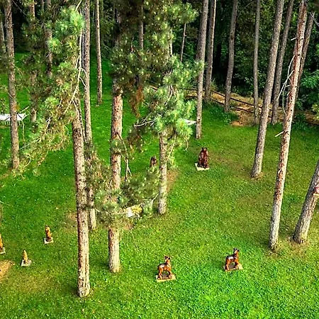 Infinity Park Hotel