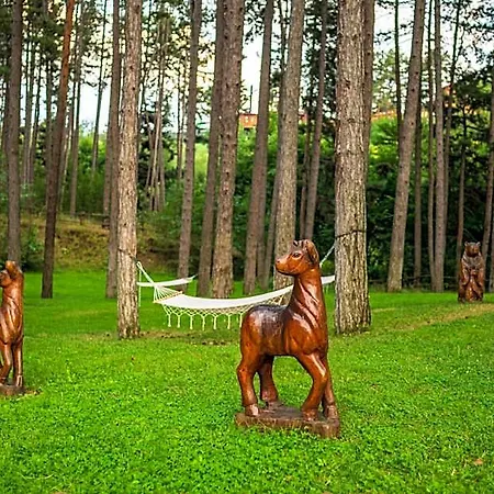 Hotel Infinity Park